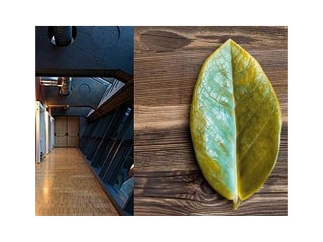 Wood Flooring